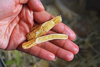 放入黄芪，大火煮开，转小火煲45分钟