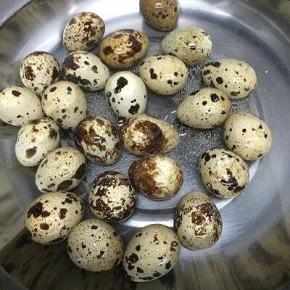 汤锅里加入适量的水，将鹌鹑蛋放入煮熟