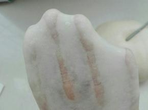 除黄油外，所有材料混合揉至扩展状态后进行室温发酵