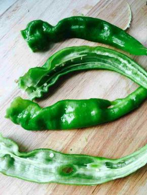 尖椒劈开，去筋。