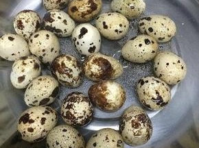 汤锅里加入适量的水，然后将鹌鹑蛋放入煮熟