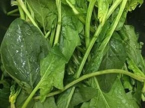 菠菜摘下跟和坏的叶子，用水洗干净