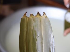 4.取3片粽叶排开