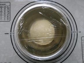 3.进行第一次发酵