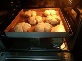 12.进行第二次发酵，烤箱内放一碗热水，保持湿度