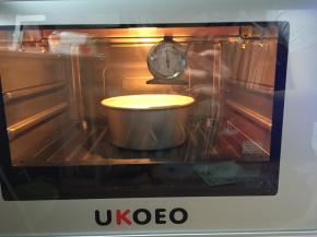 烤箱提前先预热好160度10分钟，将蛋糕放在烤盘上放入预热好的烤箱中层，上下火160度50分钟，切记中途不要打开烤箱门