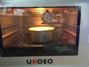 烤箱提前先预热好160度10分钟，将蛋糕放在烤盘上放入预热好的烤箱中层，上下火160度50分钟，切记中途不要打开烤箱门