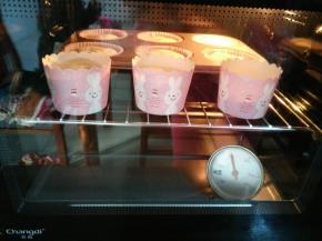 9.放入预热好的烤箱内160度20分钟