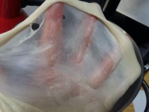 转1档将黄油与面团充分揉匀，转4档将面团揉至完全阶段，能抻出透明坚韧的薄膜。