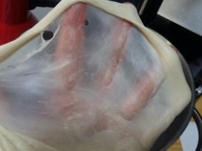 转1档将黄油与面团充分揉匀，转4档将面团揉至完全阶段，能抻出透明坚韧的薄膜。