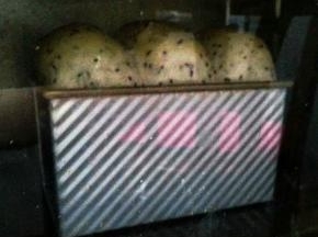 烤箱预热180度，底层，烤40分钟。上色后要及时加盖锡纸。温度和时间仅供参考，请根据自家烤箱灵活掌握。