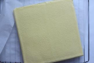 然后立即把蛋糕片移出金盘里，放到晾网上，在表面盖上一张油纸，反面来，把底下的油布撕掉，再翻正面过来即可