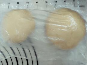 3.油酥油皮盖保鲜膜静置半小时