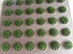 把裱花嘴先装入裱花袋，再把面糊装入裱花袋，挤到烤盘上。（建议用布的裱花袋）