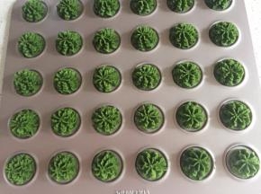 把裱花嘴先装入裱花袋，再把面糊装入裱花袋，挤到烤盘上。（建议用布的裱花袋）
