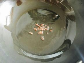 锅中入油，下花椒粒。