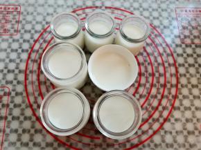 把混合好的酸奶半成品倒入布丁瓶里，后面要放芒果，大概倒60%满就可以了，如果不放水果的可以倒满到瓶颈处