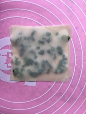 盖上另一块云吞皮