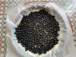 在披萨面团上盖一张锡纸铺满豆子，防止烤的过程中面团膨胀起来