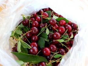 1.将樱桃连枝叶一起摘回来。