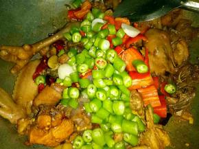 倒入从电压力锅中捞出的鸡块翻炒2分钟，然后倒入青红椒翻炒，加入蚝油，少许酱油，少量盐和鸡精