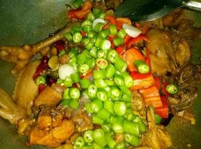 倒入从电压力锅中捞出的鸡块翻炒2分钟，然后倒入青红椒翻炒，加入蚝油，少许酱油，少量盐和鸡精