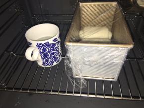 放到温度32度，湿度百分之75的环境下进行二发