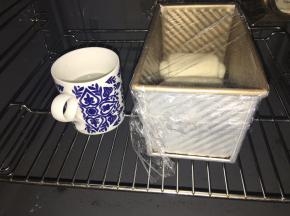 放到温度32度，湿度百分之75的环境下进行二发