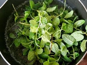 鲜薄荷洗净用开水烫一下。用料理机搅碎。
