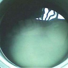 洗干净的大米放入电饭锅加上适量水