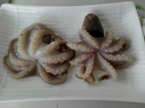 1、将章鱼清洗干净切成大颗粒，氽入开水中烫一下。