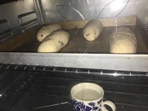 放入32度，湿度百分之75的环境下进行二发