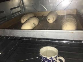 放入32度，湿度百分之75的环境下进行二发