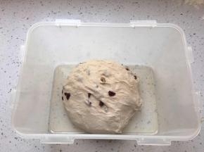 揉匀整圆，放到28度环境下进行一发