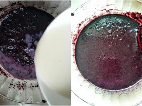 3.	吉利丁片牛奶溶液倒入桑葚果泥搅拌均匀