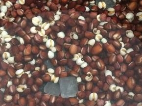 浸泡好的食材，放入电压力锅中倒入300克水煲三十分钟