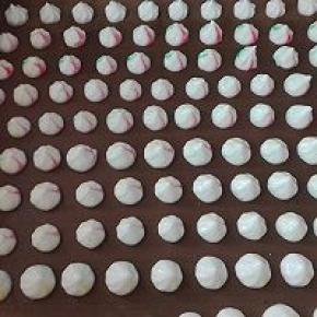 8. 快速挤入到烤盘中（温度高，我后面都有些化了，还有之前的酸奶稠度不足）