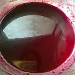 1. 甜菜汁加糖15克加玉米油搅打均匀