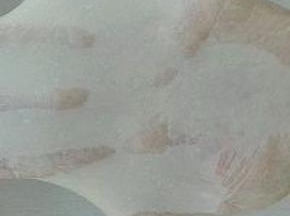 3. 揉至扩展状态，如图所示