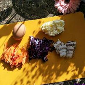 准备:红萝卜洗净切丝，紫甘蓝洗净切丝，腊肉切片，鸡蛋一个，芝士一把。