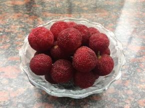 杨梅清洗干净