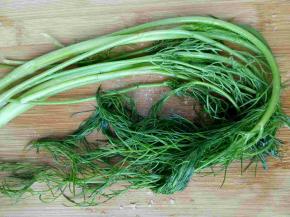 茴香洗净，备用。