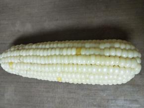 玉米剥皮，洗干净用吸水纸擦干