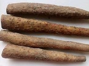 铁棍山药两根