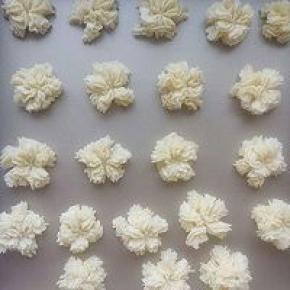 装入裱花袋挤出喜欢的花型。没有排列整齐。请忽略。