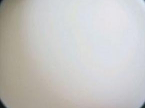 纯牛奶