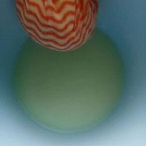 我就用夹子固定在盆子上让它慢慢控出乳清。