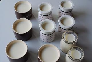 倒入装酸奶的容器中