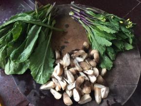 然后将洗净的草菇切块