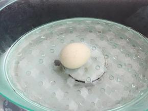 鸡蛋蒸熟